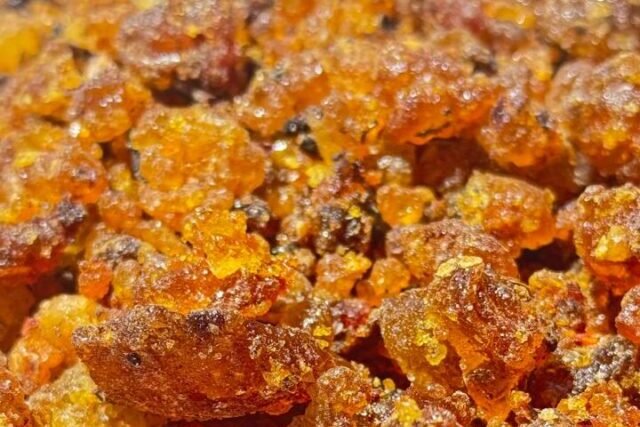 Natural Resins Collection